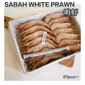 Sabah White Prawn 31/40